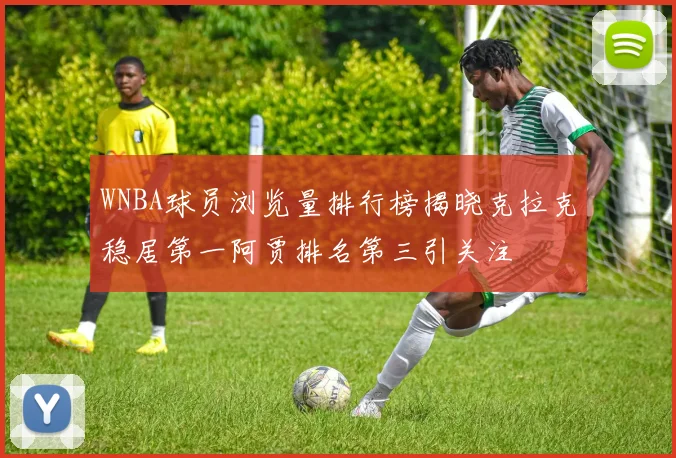WNBA球员浏览量排行榜揭晓克拉克稳居第一阿贾排名第三引关注